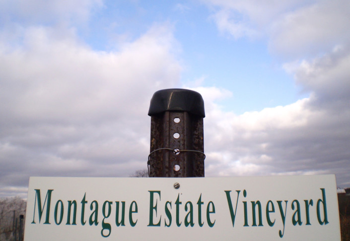 Montague Estate Vineyard
