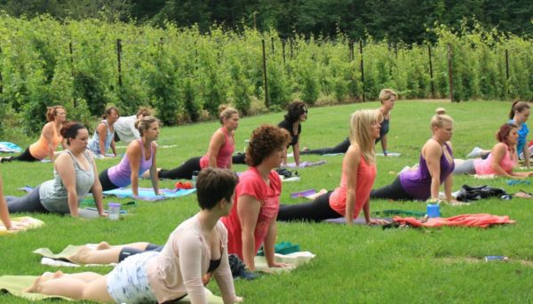 People practicing yoga in the vineyard at Black Star Farms Suttons Bay.