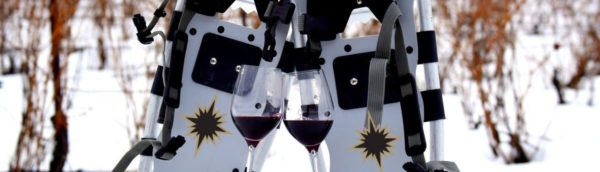 Pair of snowshoes with two glasses of red wine in the vineyard at Black Star Farms Suttons Bay.