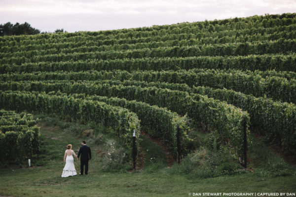 Bride and groom with a sweeping vineyard above them at Black Star Farms Suttons Bay.