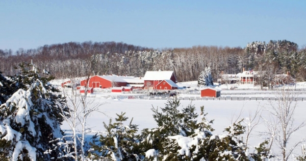 A faraway image of a snow covered Black Star Farms Suttons Bay.