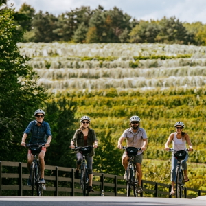Two couples biking by the vineyard at Black Star farms Suttons Bay.