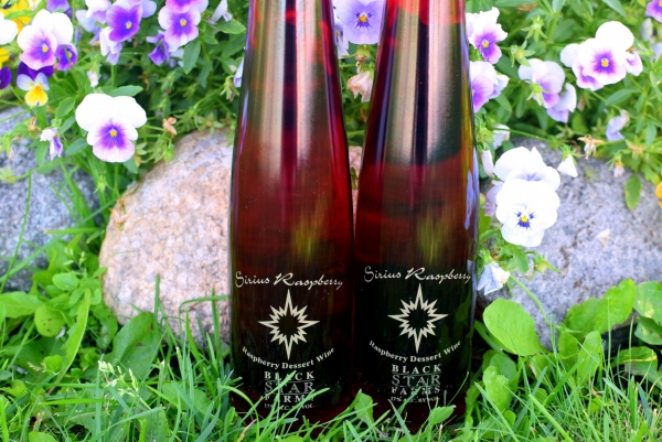 Two bottles of Sirius Raspberry Dessert Wine placed in front of colorful pansies.