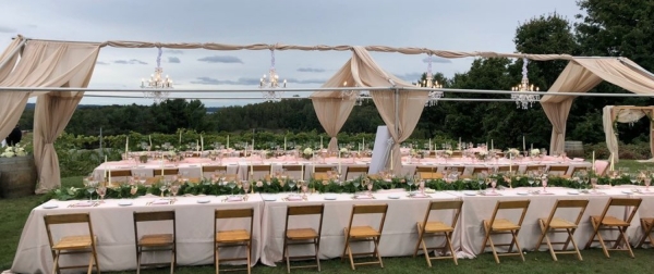 Wedding reception tables in the vineyard.