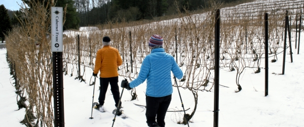 Couple snowshoeing through the vineyard.