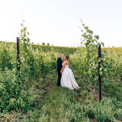 Bride and groom between the vines.