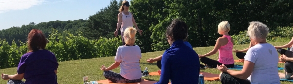 Yoga in the Vines 2021 Banner