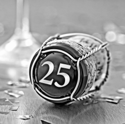 Sparkling wine cork with 25 on it.